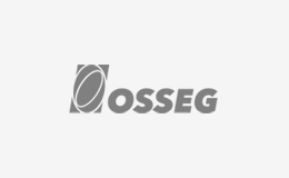 osseg-insurance-logo
